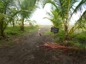 costa rica